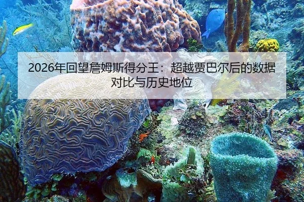 2026年回望詹姆斯得分王：超越贾巴尔后的数据对比与历史地位